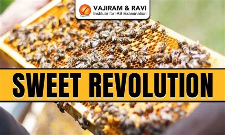 Discovering Seltisweet: The Sweet Revolution in Flavor