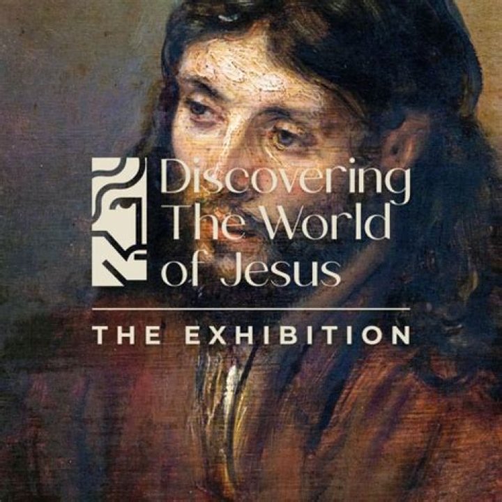 Discovering the World of Naticarolinas: An Inspiring Journey