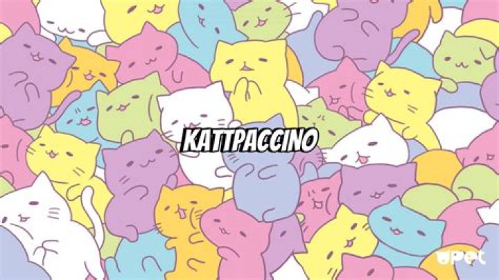 Unveiling Kattpaccino: The Allure of Kattpaccino Nude